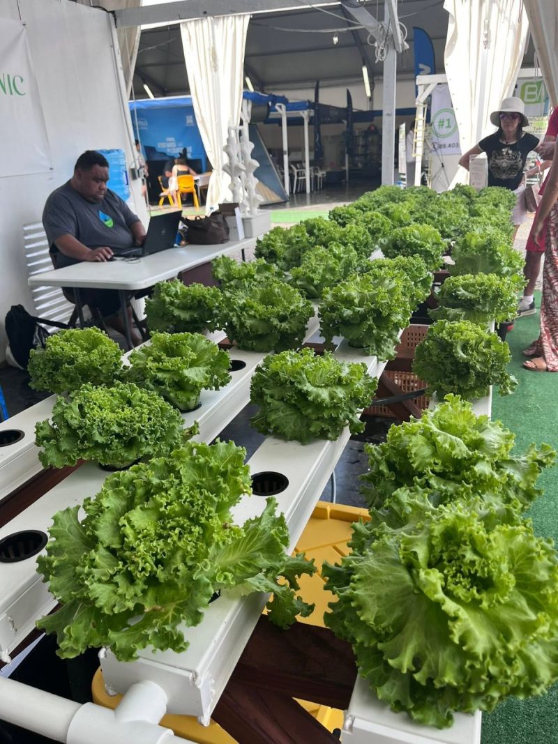 DB Tahiti salon de l habitat